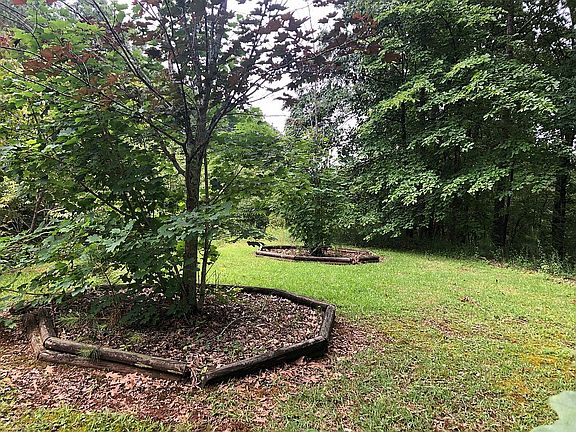 Front yard 