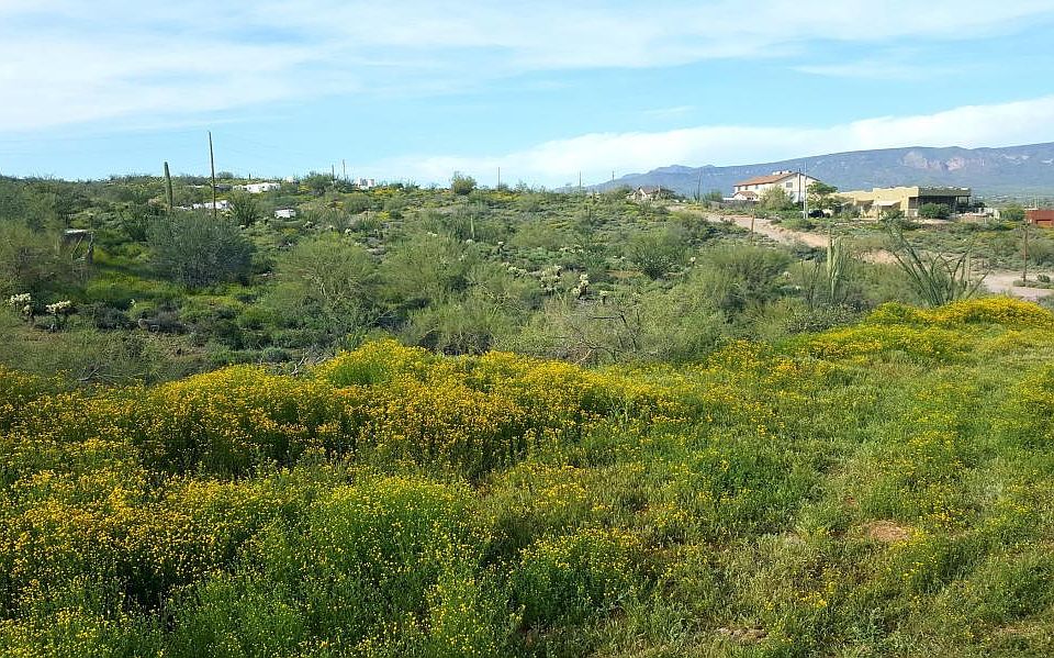 1st image of 0 N 11th Ave-
