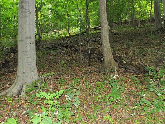 5th image of Linnwood