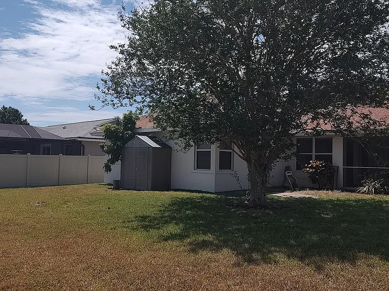 Big Back yard