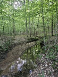 0 Bowker Rd, Charlotte, TN, 37036