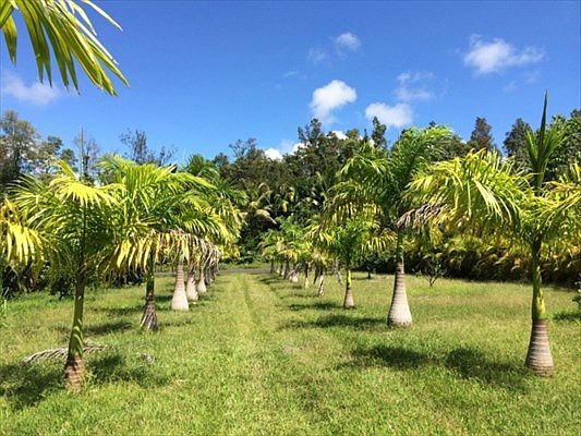 2nd image of 13-3494 N Kumakahi St #25