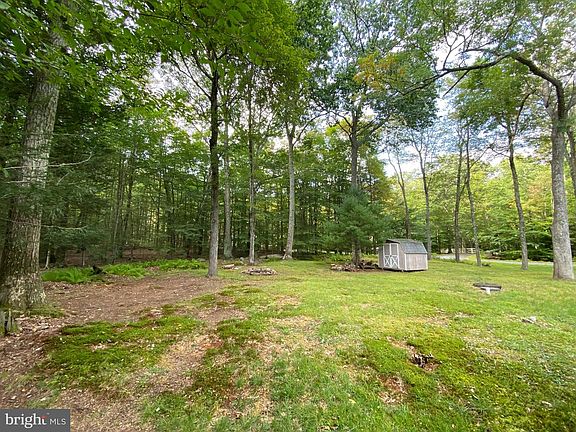 4th image of 181 Tanglewood Dr