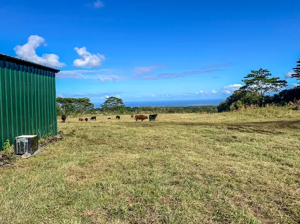 17-4870 South Rd Lot A, Kurtistown, HI 96760