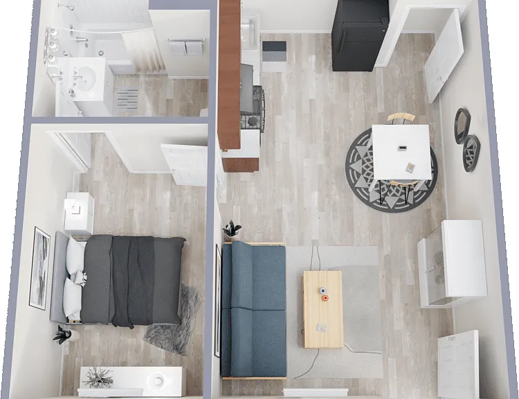 Large 1 Bedroom Floorplan Diagram