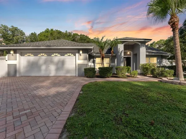 15123 Bald Eagle St, Tampa, FL 33625