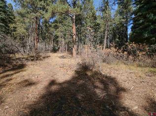 241 Elk Ln, Durango, CO 81301