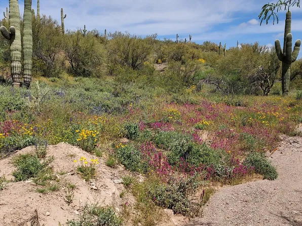 47305 N QUIET HILLS Drive #-, Morristown, AZ 85342