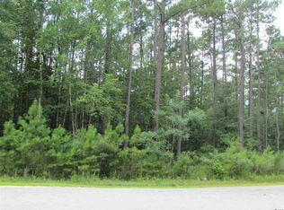 161 Joanna Gillard Ln, Georgetown, SC 29440