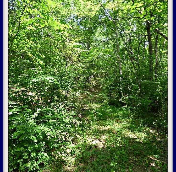 1st image of 1704170 Chestnut Hill Rd Lot 4&5