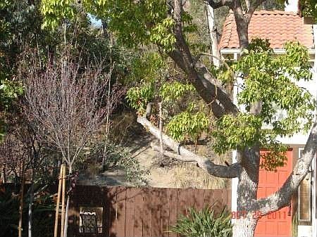 2nd image of 1623 Woodrun Pl