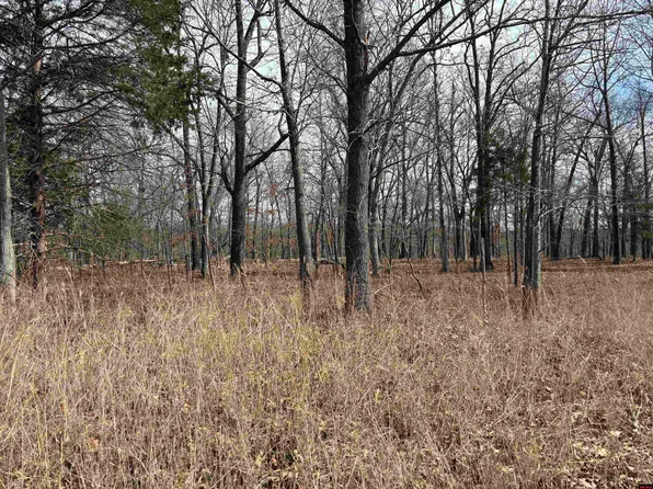 002-11124-006 Lake Point Blf, Clarkridge, AR 72623