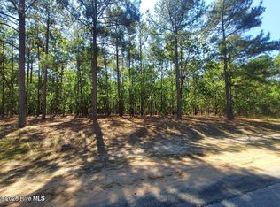 35 Peach Orchard Rd, Wagram, NC 28396