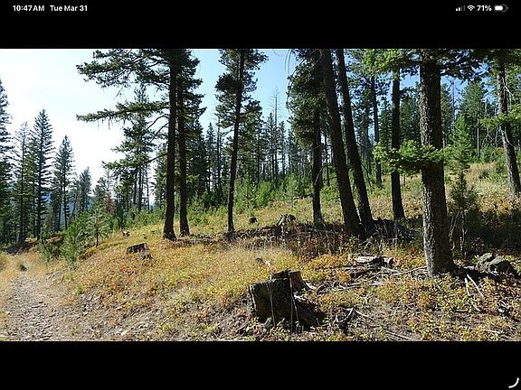 5th image of 2209 Ruby Gulch Rd