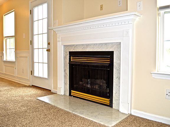 Gas Fireplace and TV Insert