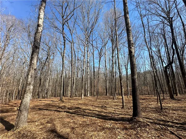 0 Lee Road 279, Salem, AL 36874