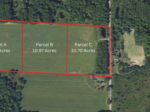 Leckrone Rd PARCEL B, Brethren, MI 49619