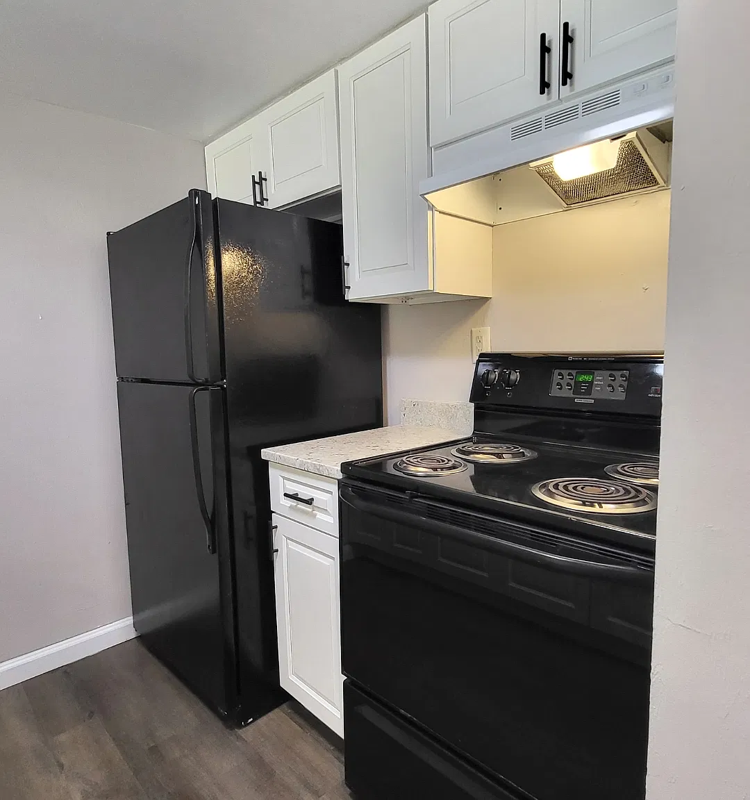 2 bed, 950 sqft, $1,150 — Photo 2