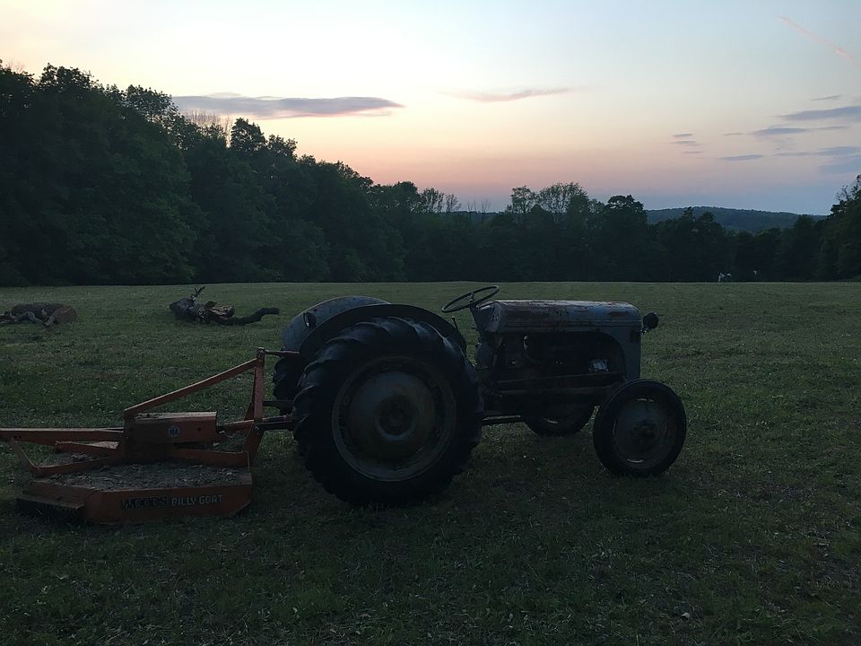 just finished mowing!