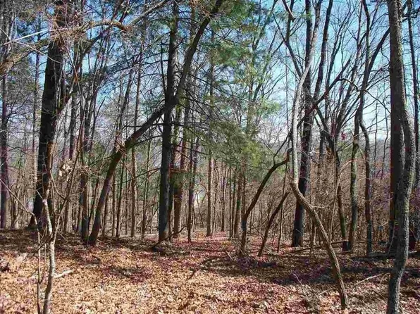 364 Lake Forest Dr, Spring City, TN 37381