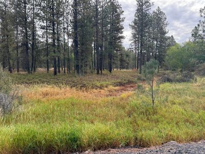 17 S Malloy Prairie Rd, Cheney, WA, 99004