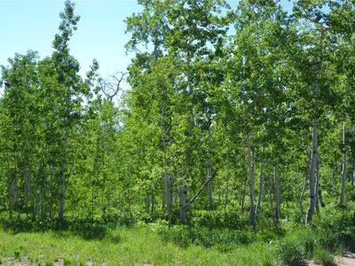 57850 Longfellow Way, Clark, CO, 80428