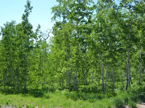 57850 Longfellow Way, Clark, CO 80428