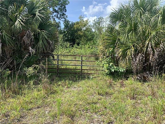 2nd image of 1020 Limpkin RD