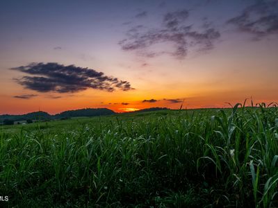 2200 Old Hall Rd #2, Limestone, TN, 37681