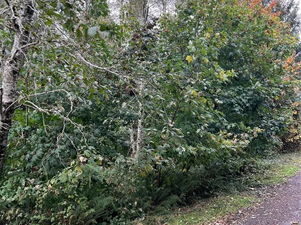 28901 X Lane, Ocean Park, WA 98640