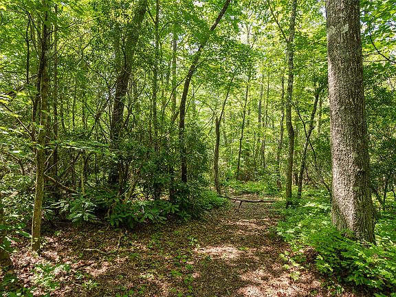 5th image of Lot 14 Streamside Drive