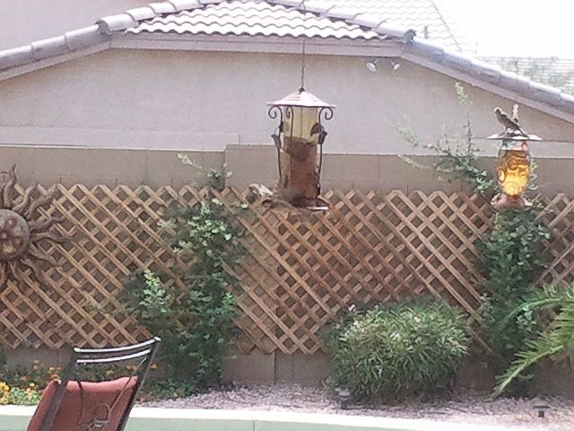 1st image of 15339 W Laurel Ln