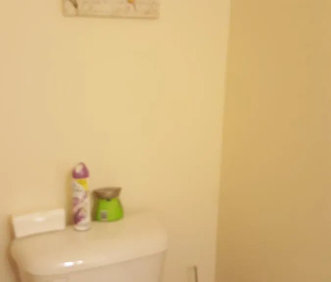 1/2 Bathroom of 1st floor