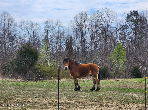 Crockett Cemetery Rd, Jamestown, TN 38556