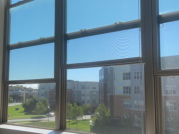 the view (day)