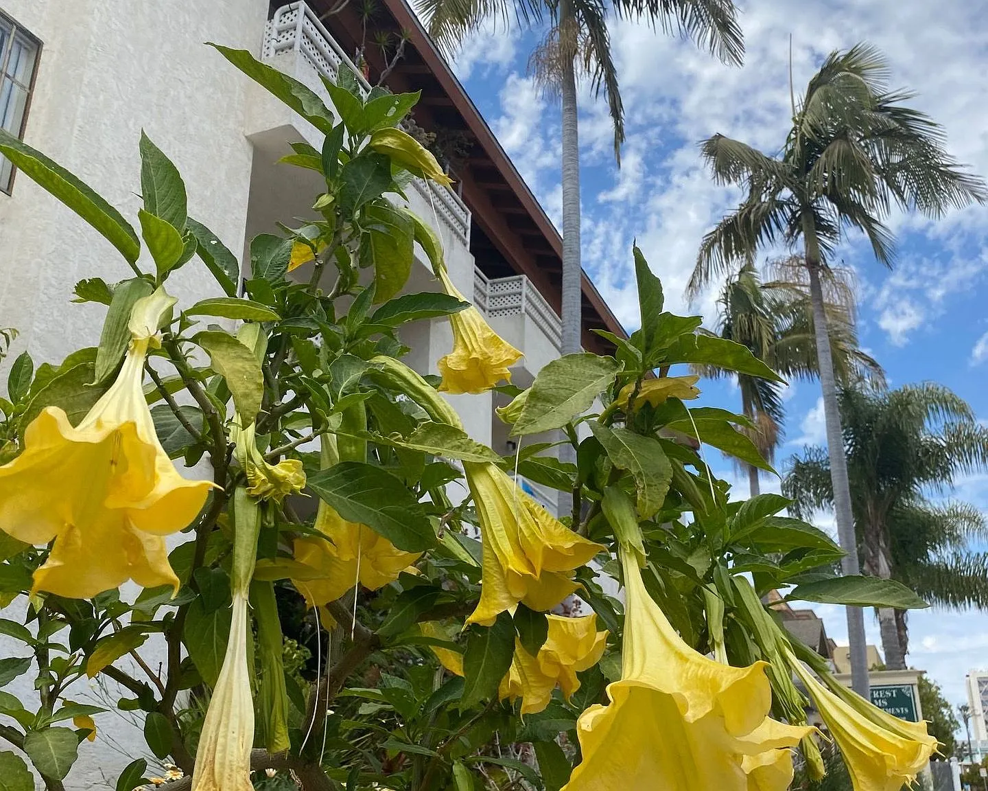 Hillcrest Palms Apartments — Photo 4