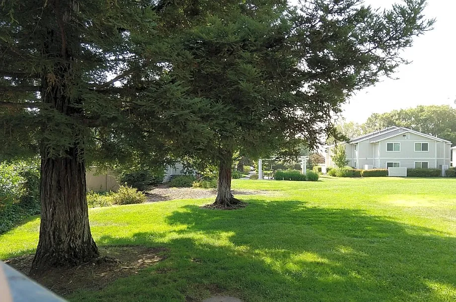 Gridley Springs Apartments 1 & 2 — Photo 3