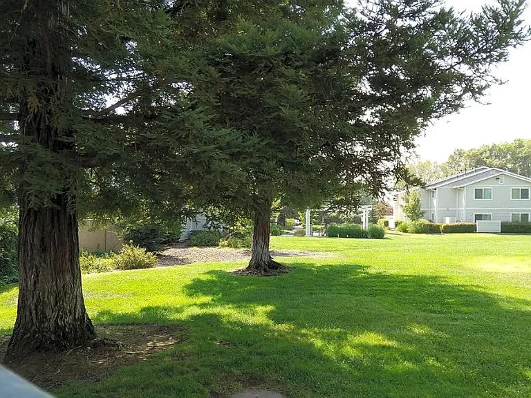 Gridley Springs Apartments 1 & 2 — Photo 4
