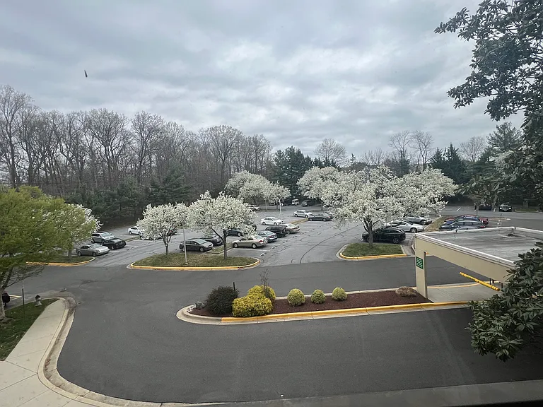 2921 N Leisure World Blvd #301 — Photo 3