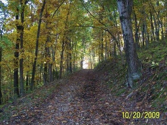 Hiking down to camp