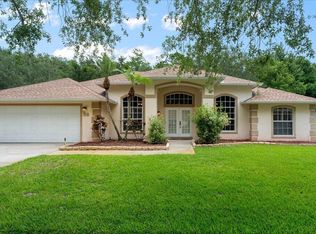 58 Spring Meadows Dr, Ormond Beach, FL 32174