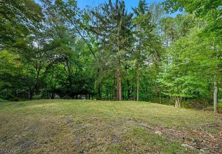 330 Springbrook Trl — Photo 28