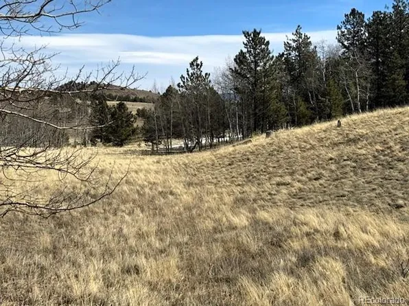 1931 Campfire Road LOT 1490, Hartsel, CO 80449