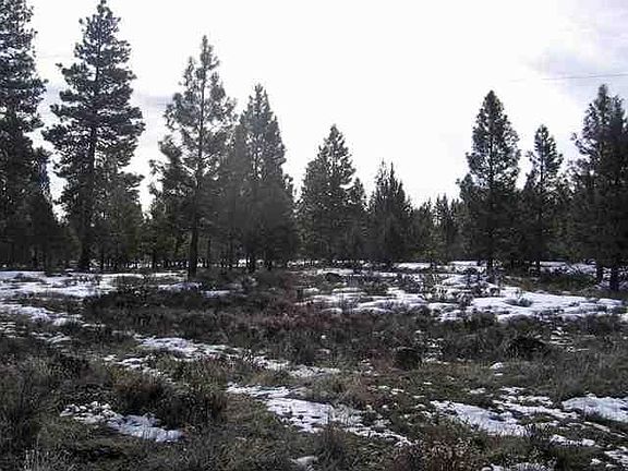 2nd image of 5 Misty Mountain Dr