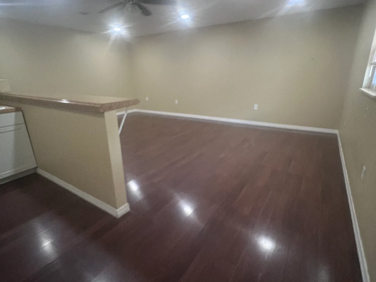 1 bed, 800 sqft, $1,300 — Photo 4
