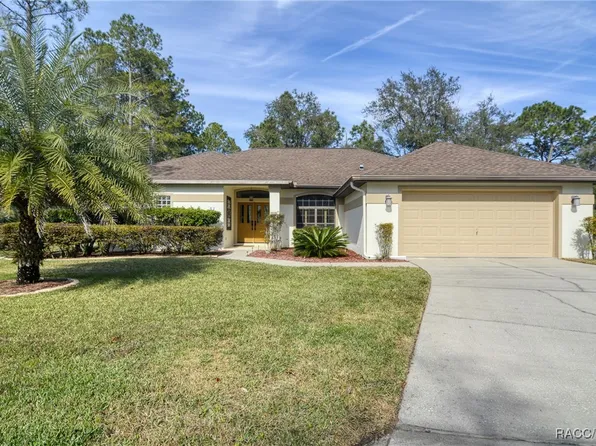 13 Blue Beech Ct, Homosassa, FL 34446