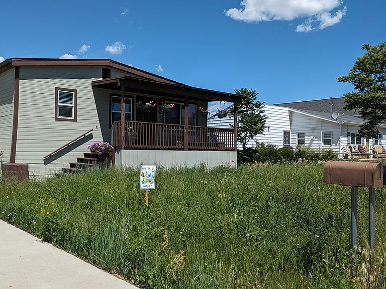 Front of the house with a wildflower garden.