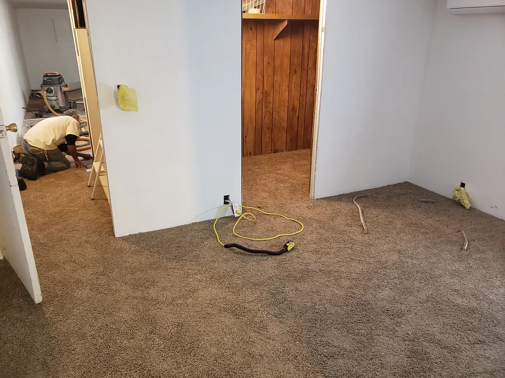 2 bed, 900 sqft, $1,200 — Photo 3