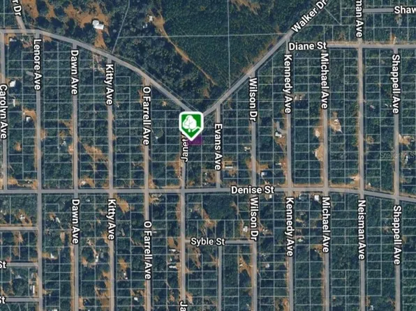 3 Janet Ave Lot 3, Interlachen, FL 32148