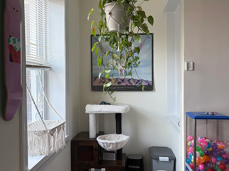 1807 Biltmore St NW #2 — Photo 4